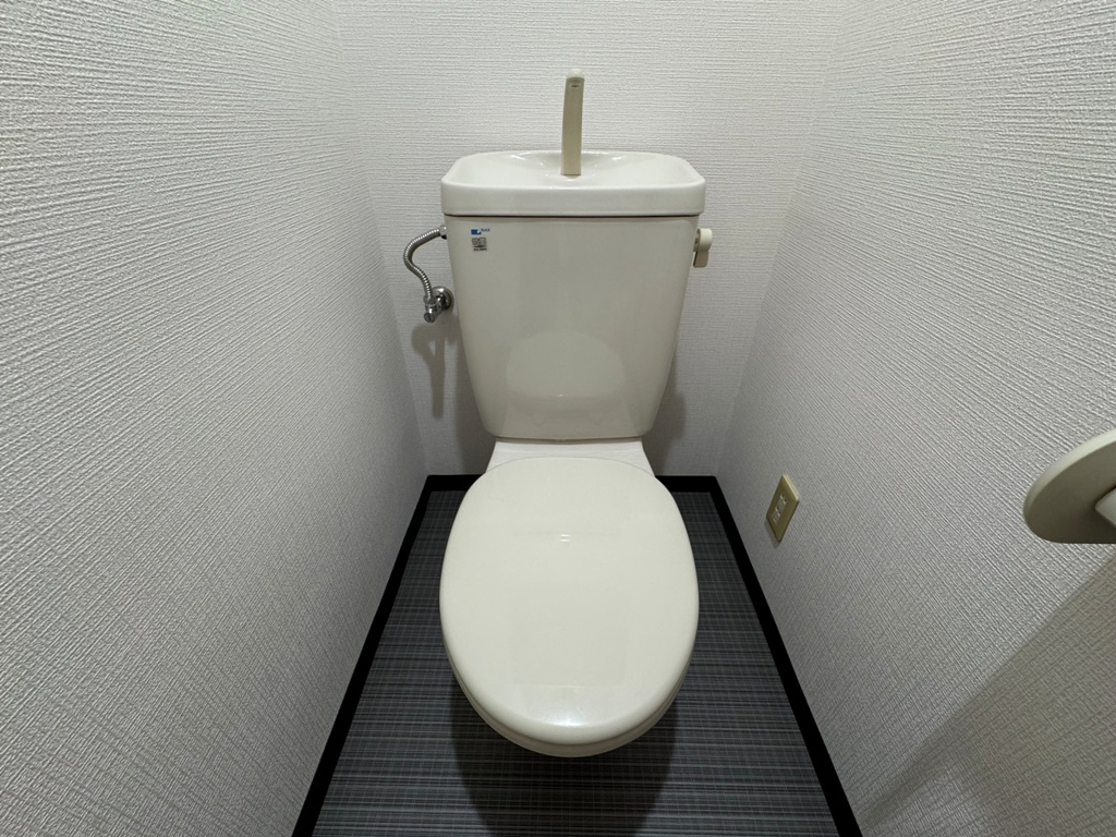 パレス東洋8号館のトイレ
