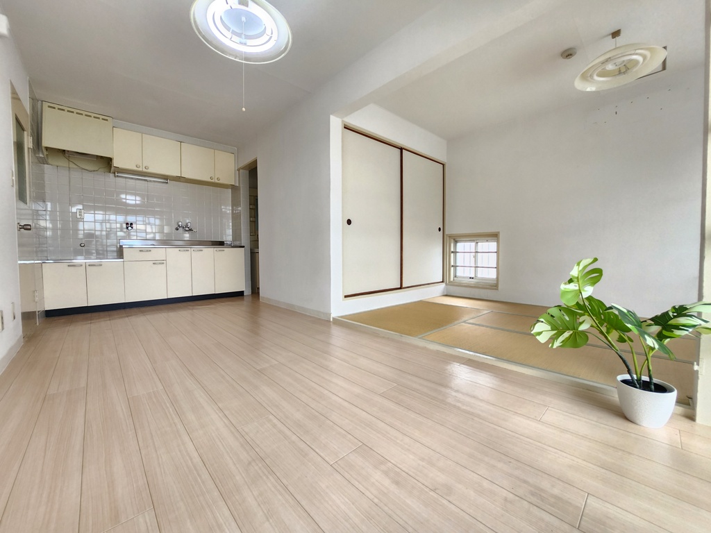 アパルトマンKのダイニング&南向きリビングと併設する畳間:フローリングはライトベージュの木目調で壁と天井は白塗りの観葉植物が映える明るい空間。併設する6帖和室とは仕切りなしでつながっている。