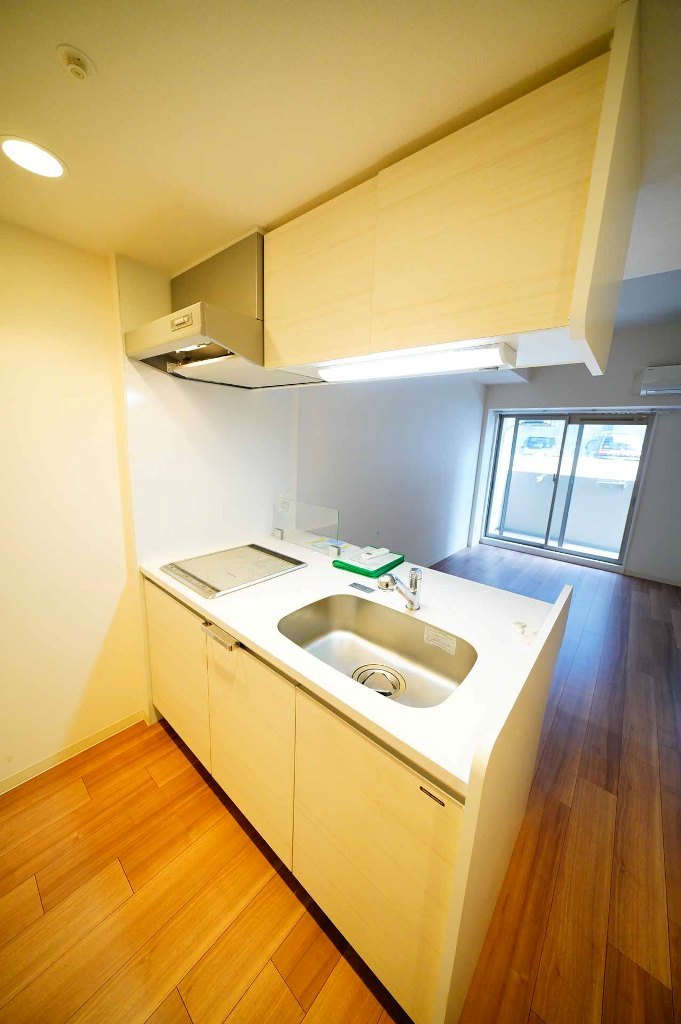 大阪府吹田市江の木町10-3,ディームス江坂205号室,1LDK37.2㎡南向きのIH2口コンロ、シンクの蛇口はシャワーヘッドのカウンターキッチン
