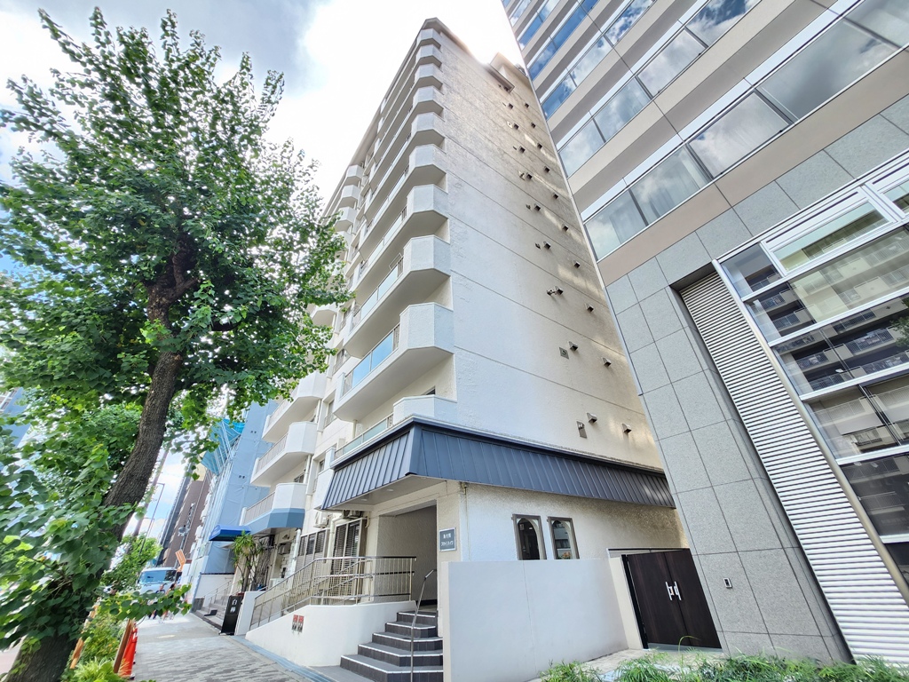 大阪府大阪市淀川区西宮原1丁目7-36,新大阪スカイハイツの外観